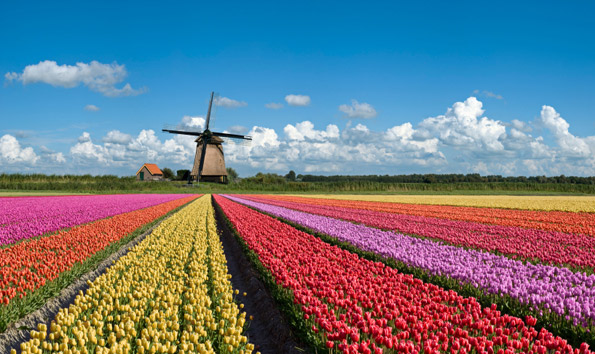 Private tours of Belgium & the Netherlands