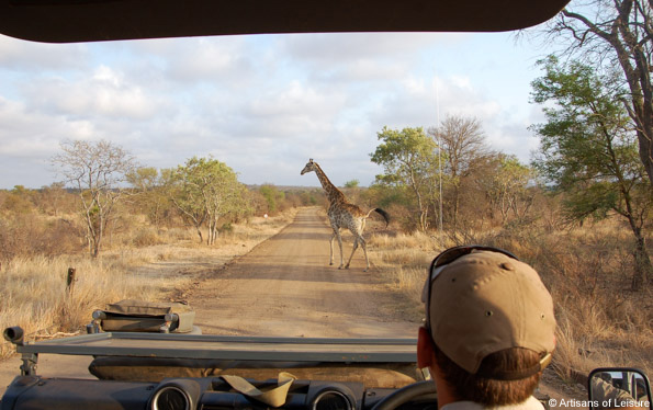 luxury South Africa tours