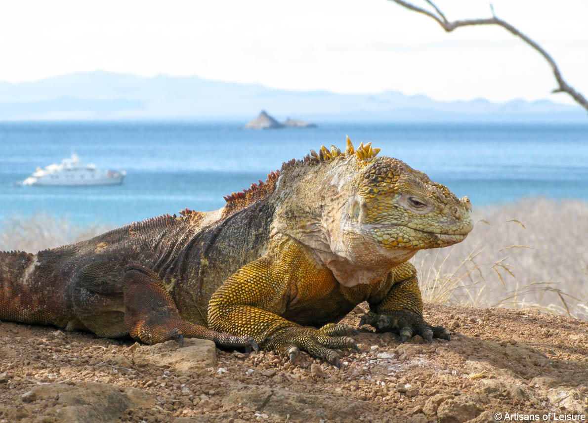 private Ecuador and Galapagos tours