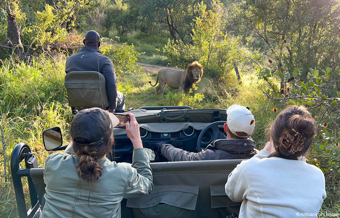 On safari in Sabi Sand Reserve, South Africa