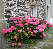 D-Day cemetery, Artisans of Leisure luxury France tours