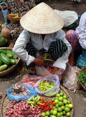 luxury Vietnam tours