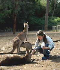 luxury tour Australia