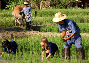 luxury Thailand tours