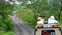 Just Back: A Luxury Safari Tour in Kenya & Tanzania