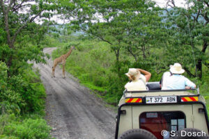 luxury safari tours