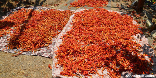 drying peppers