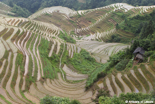 Longsheng rice terraces