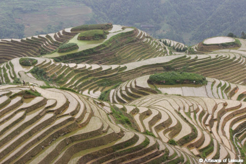 Longsheng rice terraces