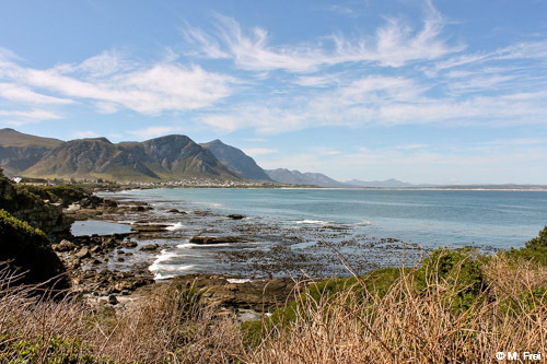 Hermanus