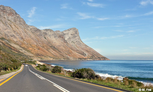 Cape Whale Route