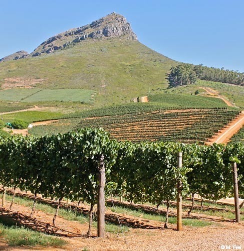 private Winelands tours