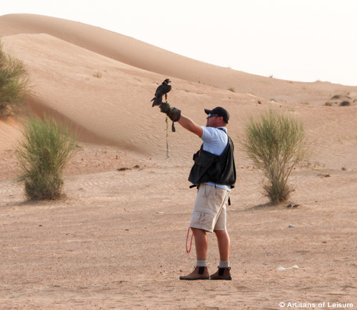 Dubai falconry lesson