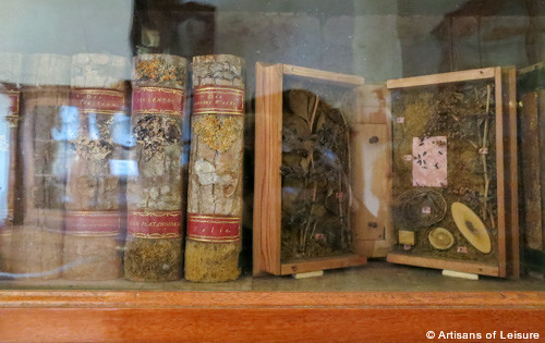 Strahov Library tour