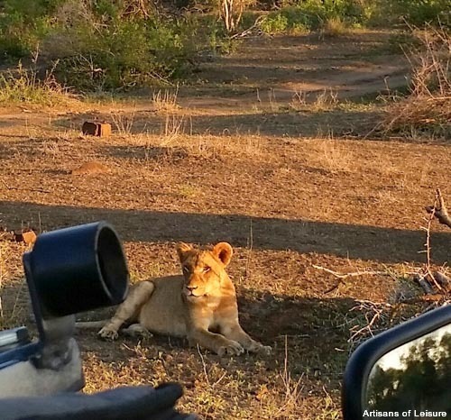 Singita Lebombo