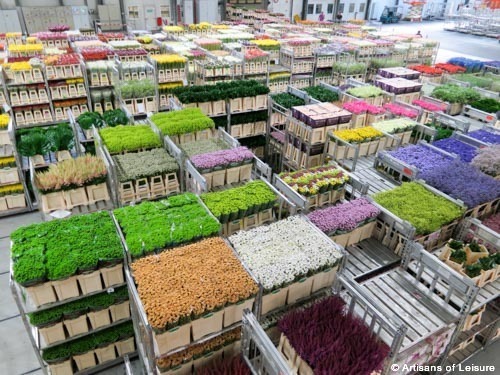 Aalsmeer flower auction