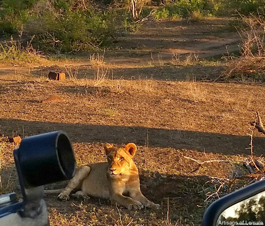 luxury safaris Africa