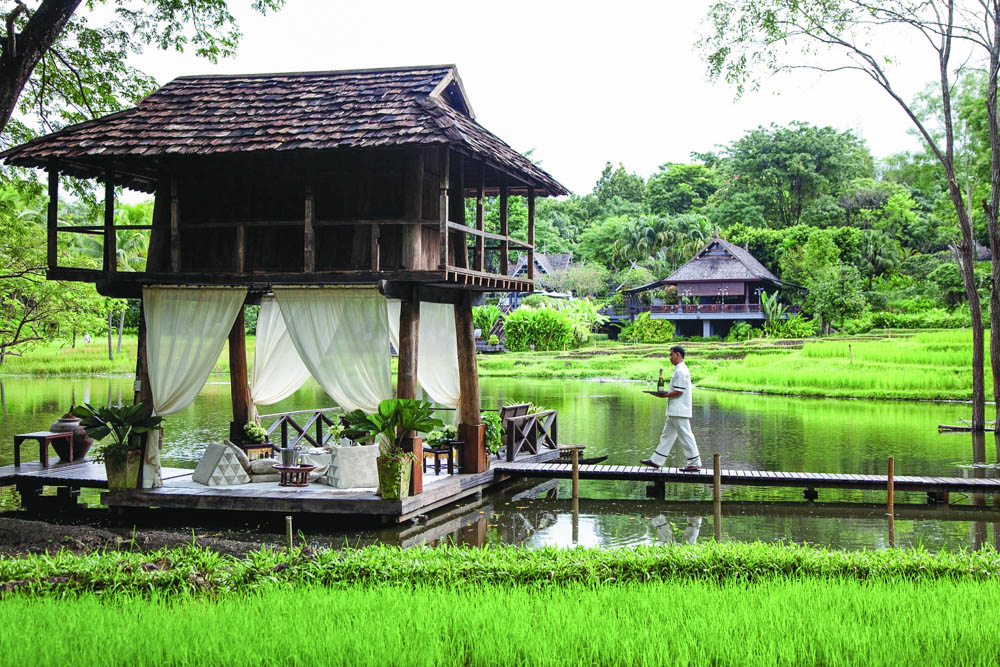 elephant tours Thailand