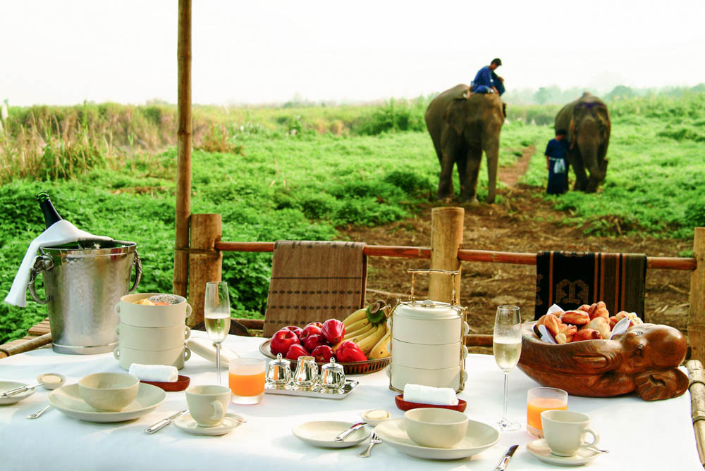 elephant tours Thailand