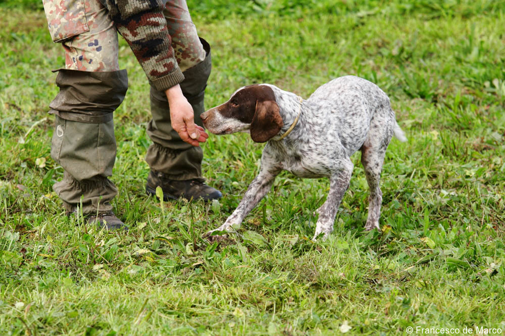 Italy truffle hunting