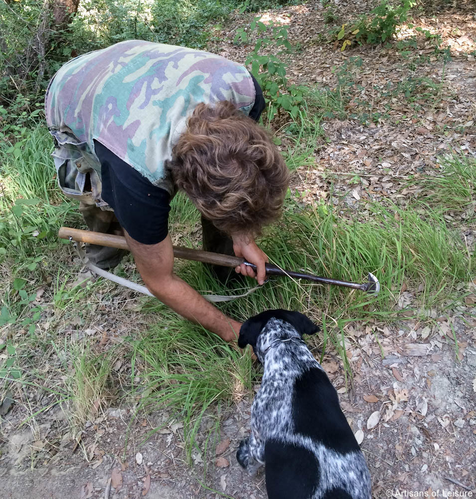 Italy truffle hunting