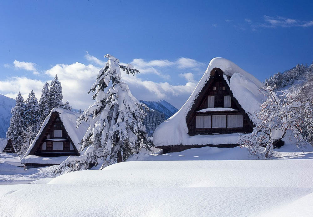 Shirakawago