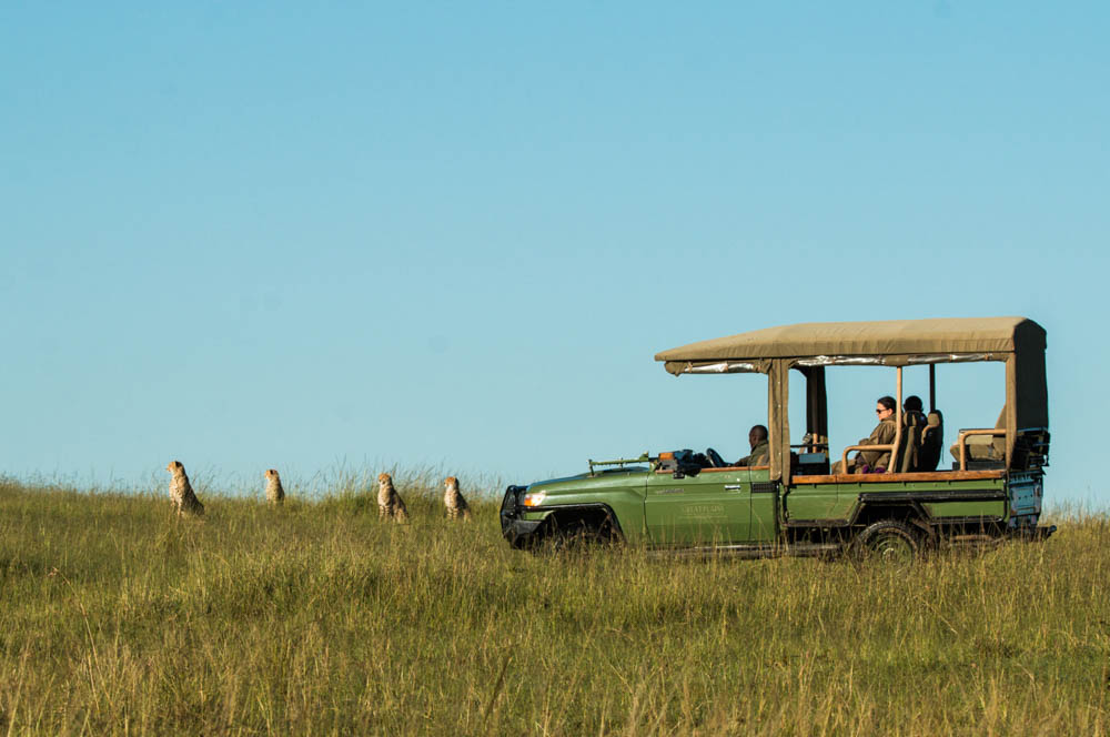 luxury Kenya tours and safaris