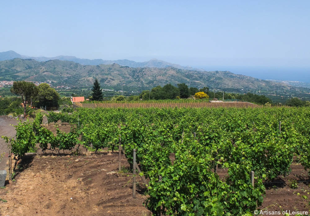 Mt Etna winery tours Sicily