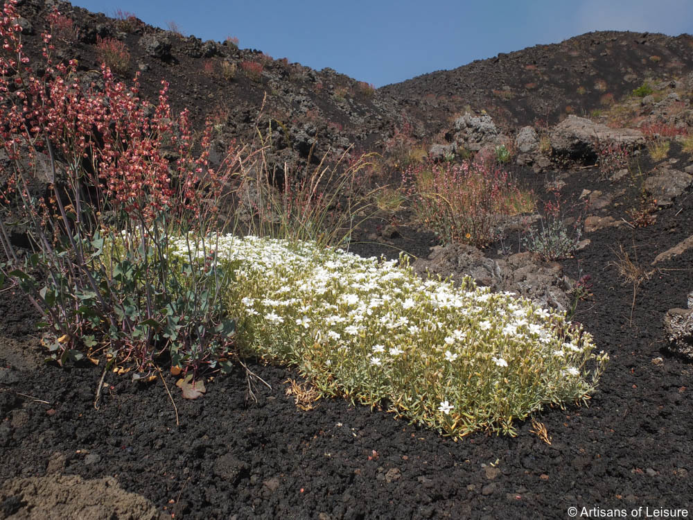 Mount Etna private tours