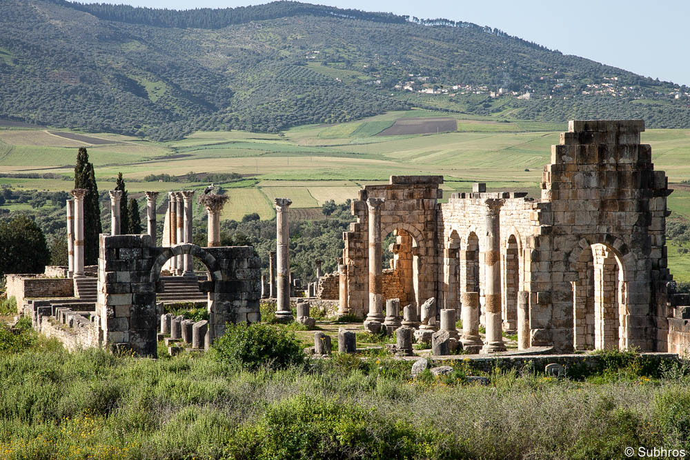 luxury Morocco tours Volubilis