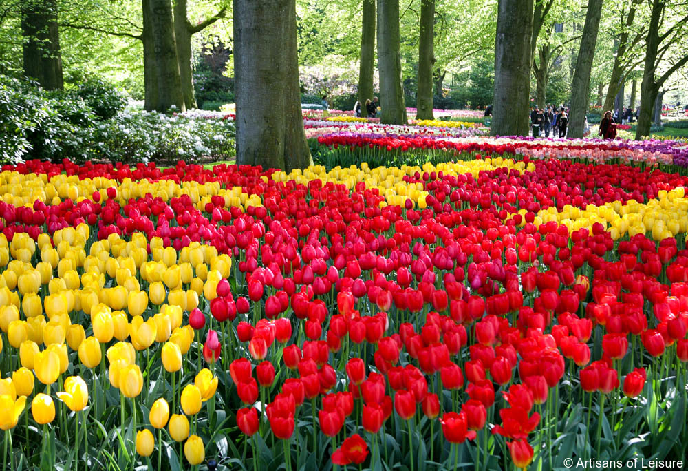 Keukenhof tours Amsterdam