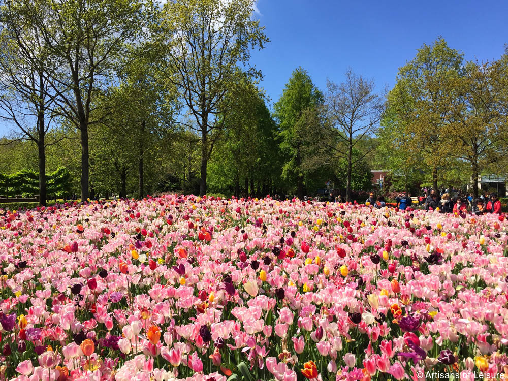 Keukenhof tours Amsterdam