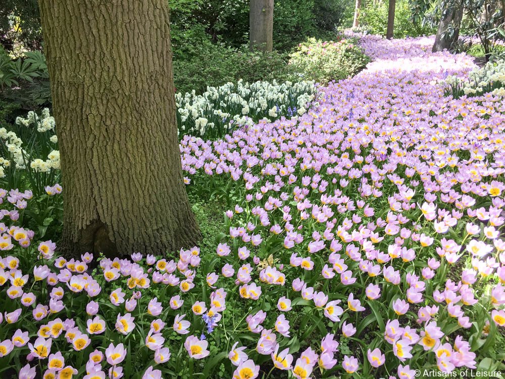 Keukenhof tours Amsterdam