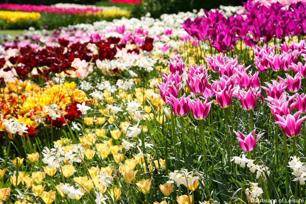 Keukenhof tours Amsterdam