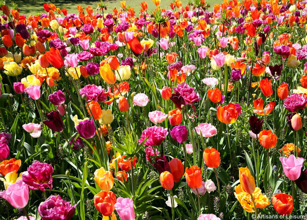 Keukenhof tours Amsterdam