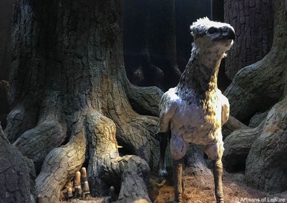 watch the animatronic Buckbeak in motion, 