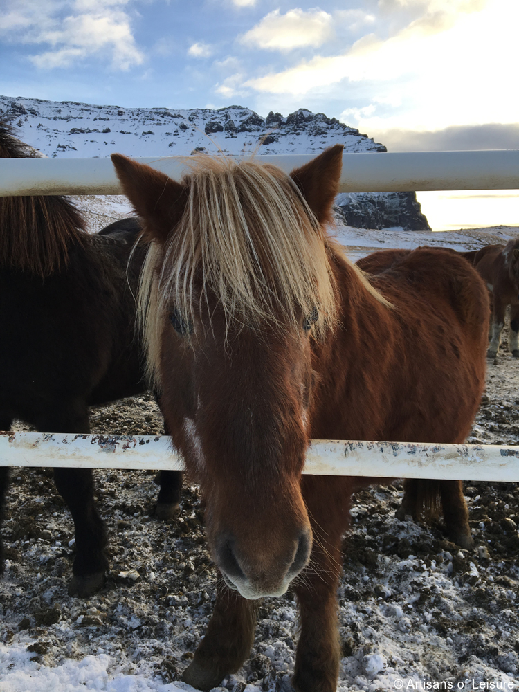 family travel Iceland