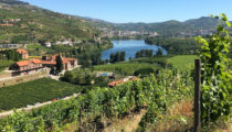 Food & Wine Tour of the Basque Country & Portugal