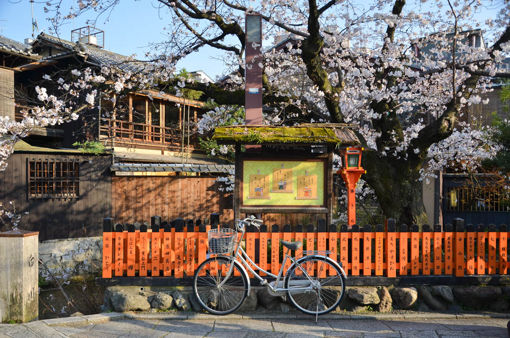Kyoto tours
