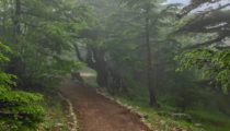 Hiking Tour of Lebanon