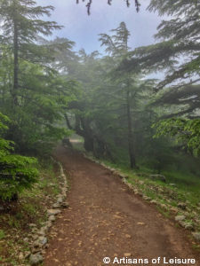 Cedar Reserve Lebanon tours