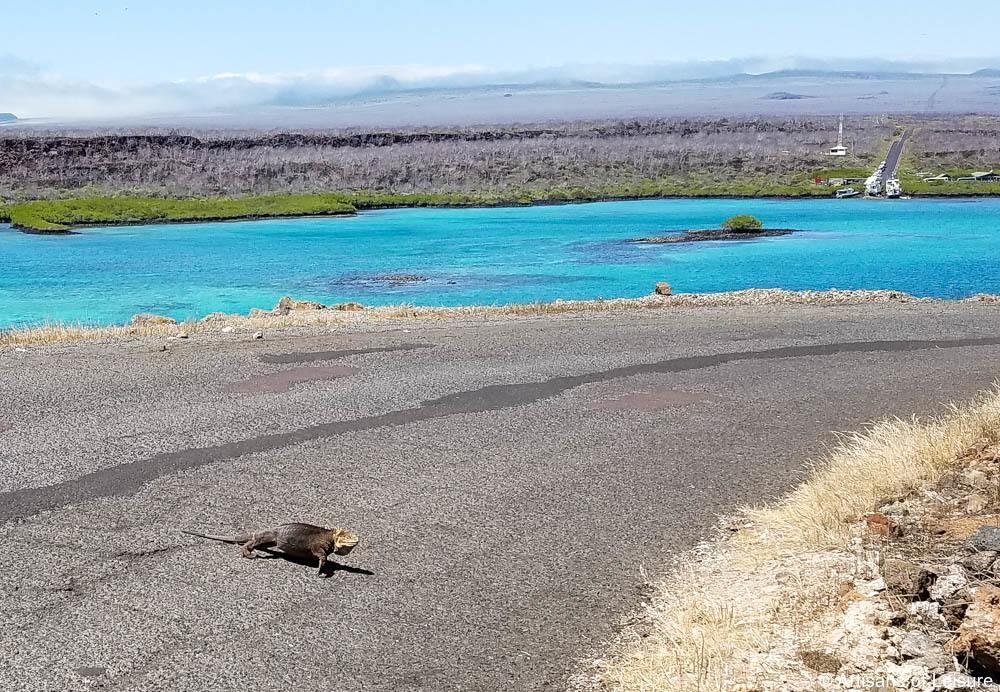 Luxury Galapagos tours