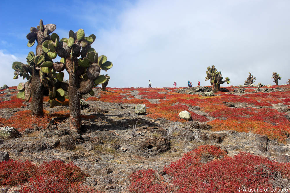 Luxury Galapagos tours