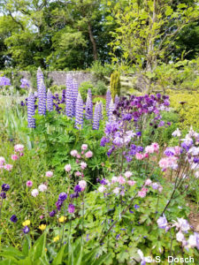 Luxury Scotland tours