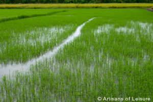 Luxury Vietnam & Cambodia