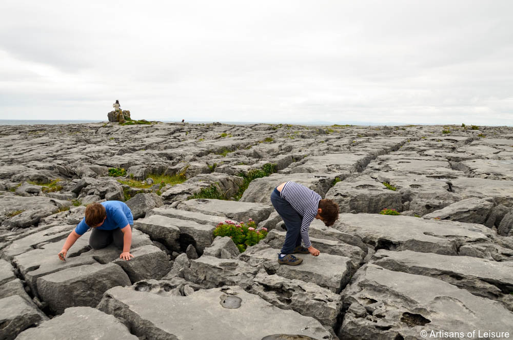 Family tours Ireland