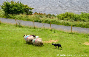 Family tour Ireland