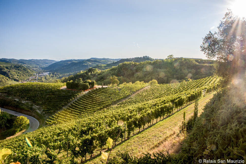 Luxury Piedmont Tours