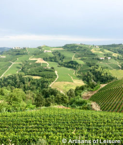 Insider Piedmont