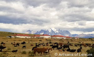Luxury Chile tours